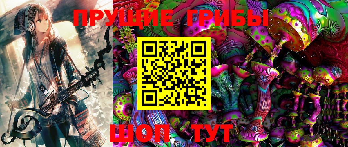 Галлюциногенные грибы Psilocybine cubensis Шуя
