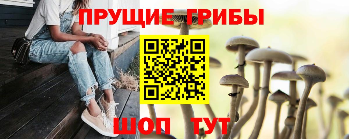 Псилоцибиновые грибы Psilocybine cubensis  Псилоцибиновые грибы мицелий  Шуя  Вход с VPN 